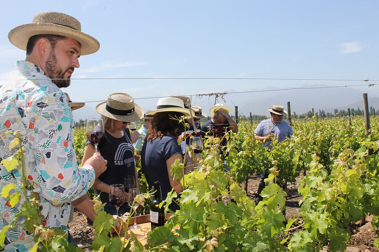 Come scoprire esperienze locali autentiche