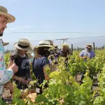 Come scoprire esperienze locali autentiche