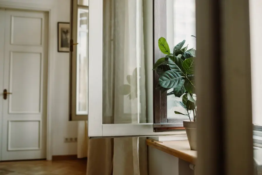 Come migliorare la qualità dell’aria in casa: soluzioni efficaci e pratiche