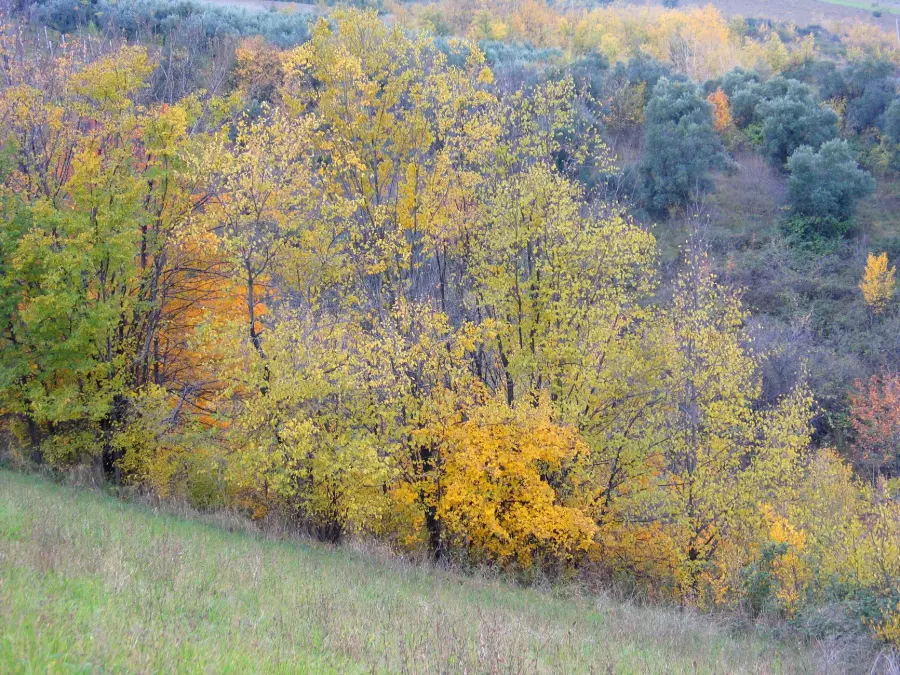 Parco d’Abruzzo, escursione sui sentieri dell’orso marsicano