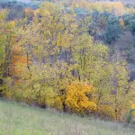 Parco d’Abruzzo, escursione sui sentieri dell’orso marsicano