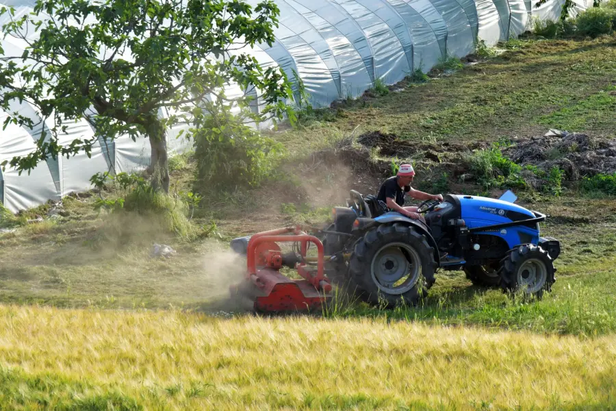 Molise, bando SRD03: 10 milioni per le aziende agricole