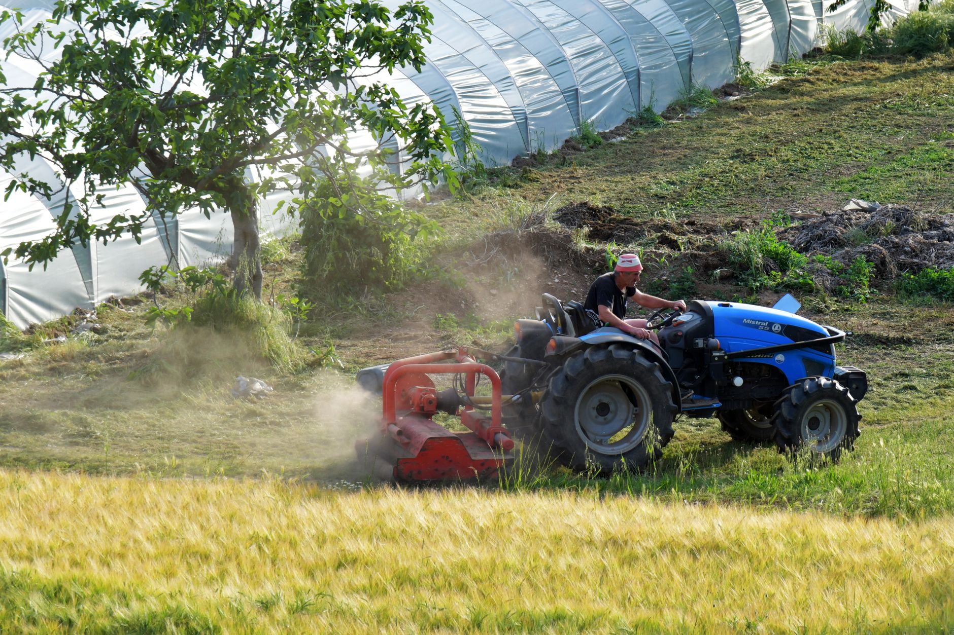 Molise, bando SRD03: 10 milioni per le aziende agricole