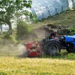 Molise, bando SRD03: 10 milioni per le aziende agricole