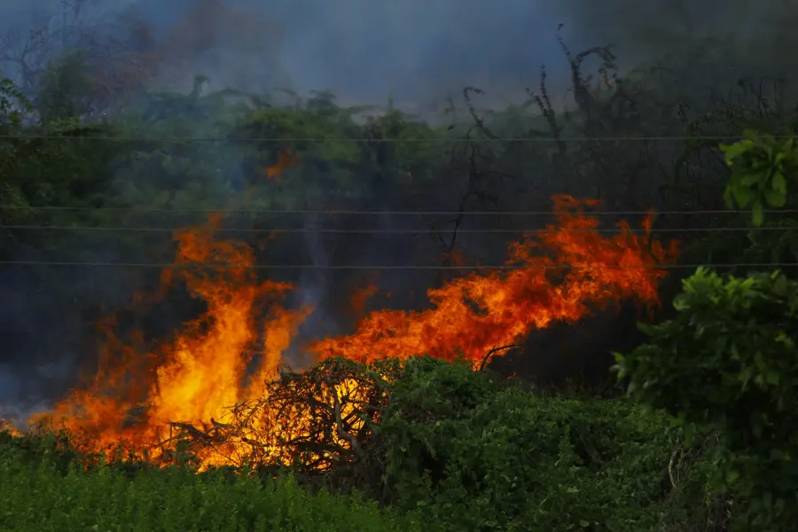 Molise, satelliti contro gli incendi boschivi in quattro aree