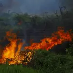 Molise, satelliti contro gli incendi boschivi in quattro aree