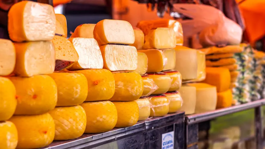 Caciocavallo: produzione e pasta filata spiegata
