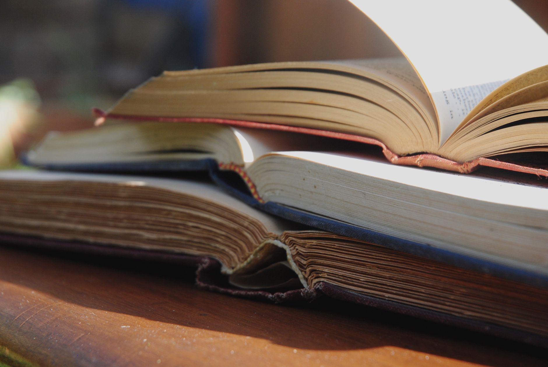 Molise, bonus libri 2026/2027: 1,2 milioni per le famiglie