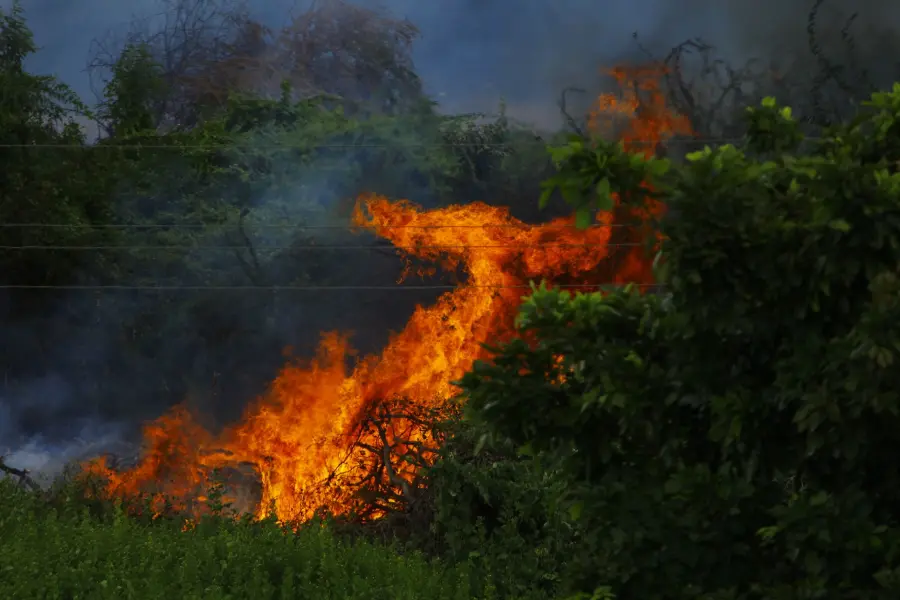 Molise, test di quattro mesi contro gli incendi con dati satellitari