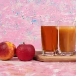 Come scegliere l’estrattore di succo perfetto?