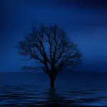 Perché le persone hanno paura di andare dallo psicologo?